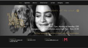 The London Animal Hospital