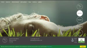 Balance Massage & Wellness' Homepage