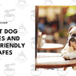 best-dog-cafes-london-banner