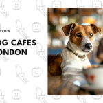 top-dog-cafes-london-banner