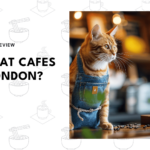 top-cat-cafes-london-banner