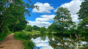 Best Spots for Wild Swimming in London