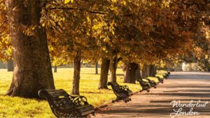 Best Walks in London