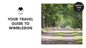 Ultimate Guide to Wimbledon