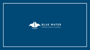 blue-water-freediving-school