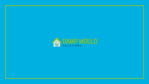 damp-and-mould-solutions