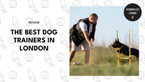 best-dog-trainers-london