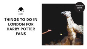 things-to-do-for-harry-potter-fans