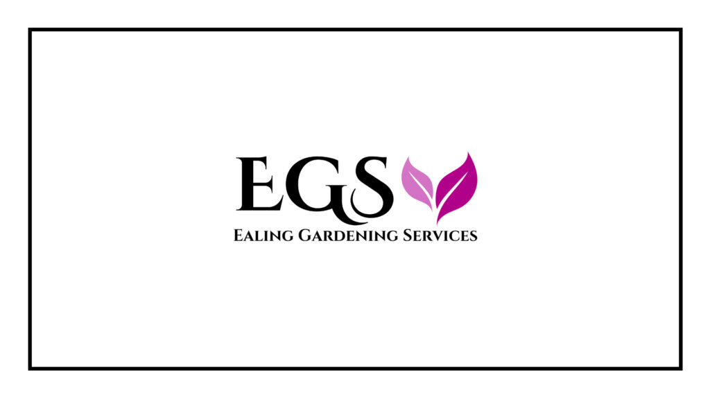 ealing-landscaping-gardening-services