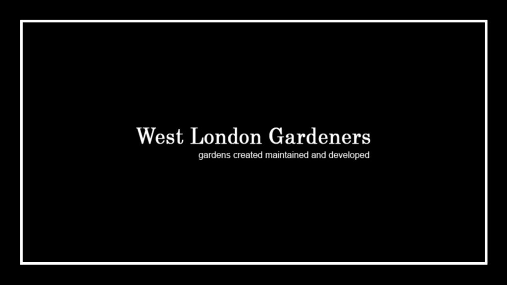 west-london-gardeners