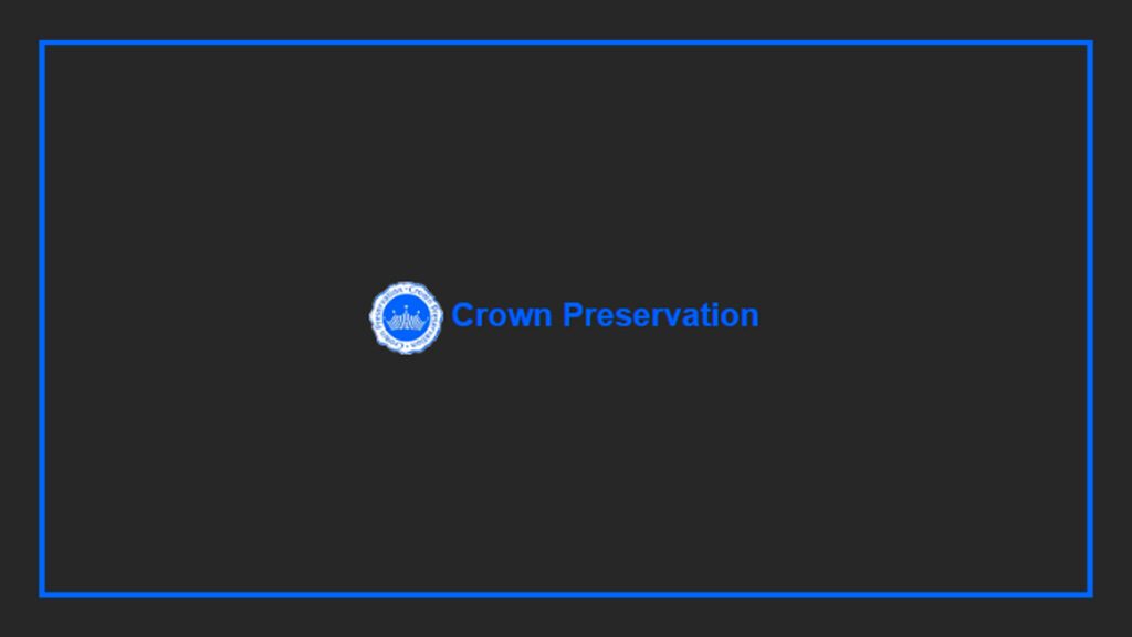 crown-preservation-damp-proofing-logo