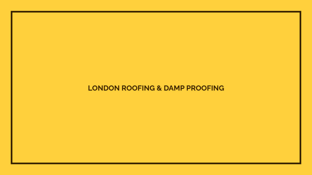 london-roofing-and-damp-proofing-ltd-logo