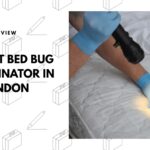 best-bed-bug-exterminator-london-banner
