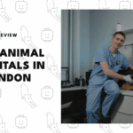 animal-hospitals-in-london