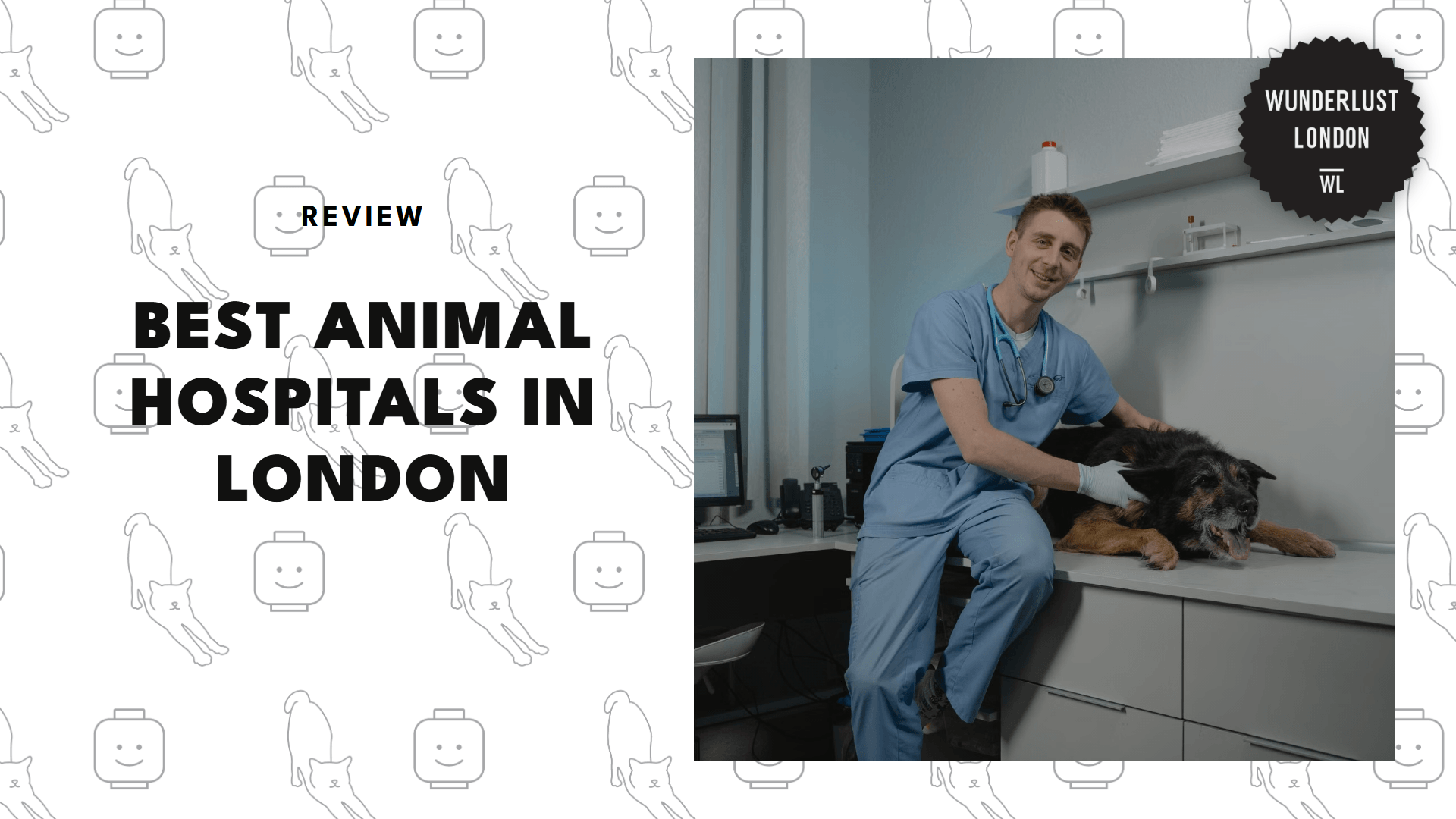 animal-hospitals-in-london
