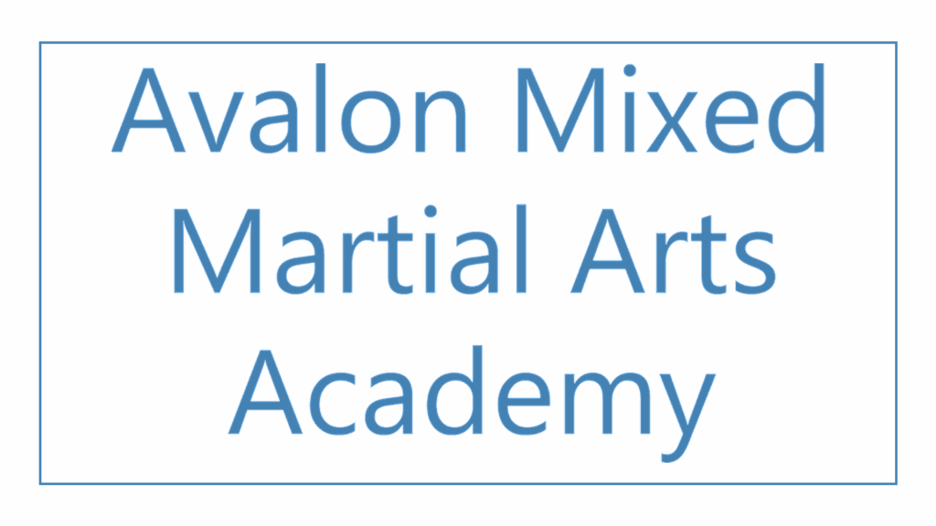 avalon-mixed-martial-arts-academy