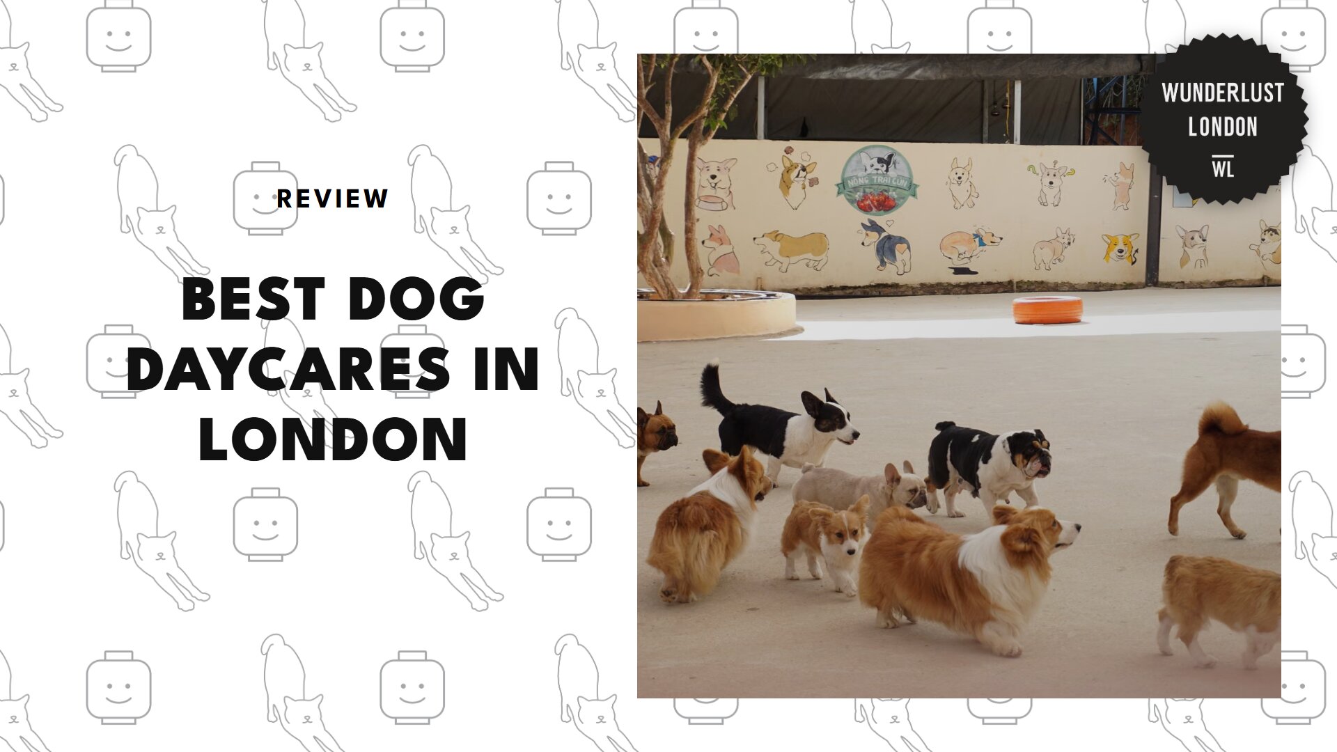 best-dog-daycares-london-banner