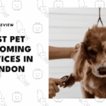 best-pet-grooming-london