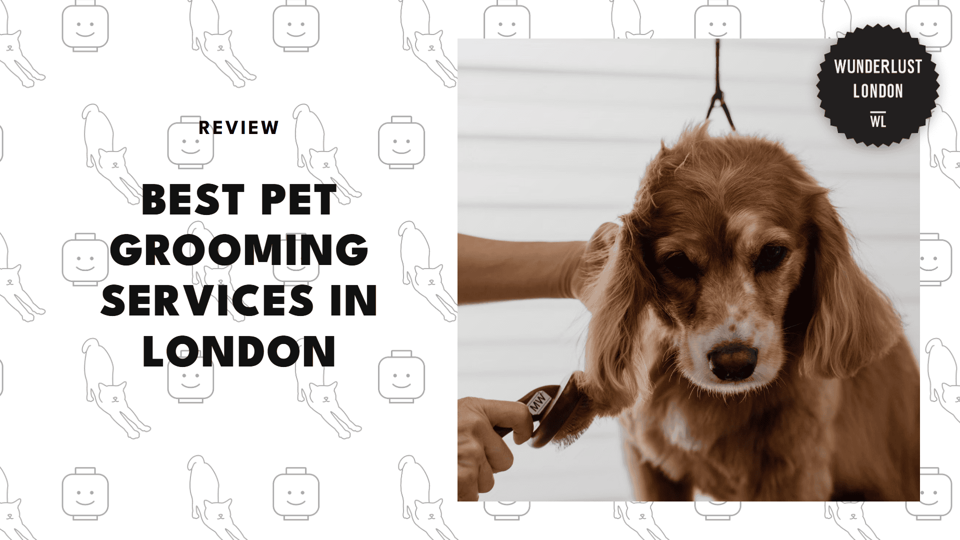 best-pet-grooming-london