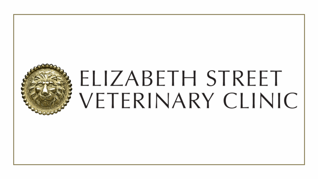 elizabeth-street-veterinary-clinic