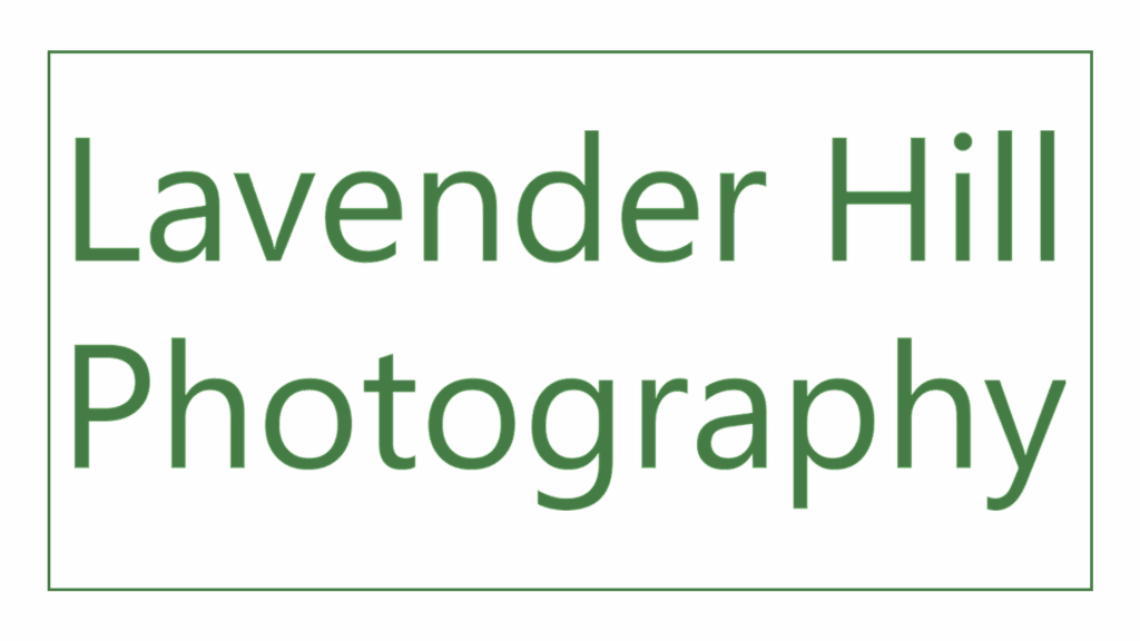 lavender-hill-photography