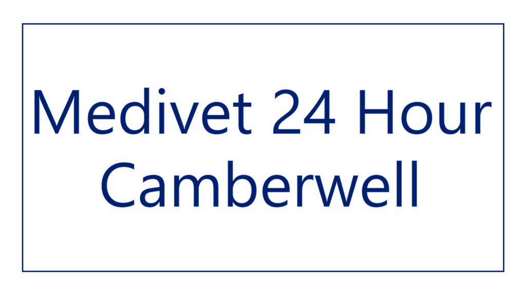 medivet-24-hour-camberwell