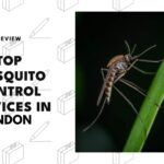 mosquito-control-services-in-london