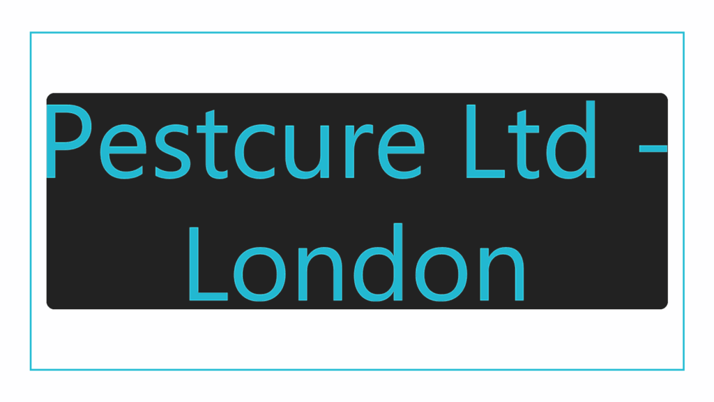 pestcure-ltd-london