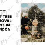tree-removal-pros-in-london
