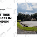 tree-services-in-london