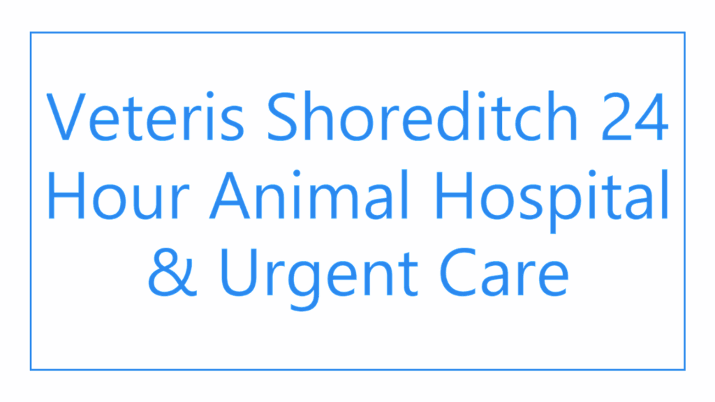 veteris-shoreditch-24-hour-animal-hospital-urgent-care