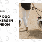 best-dog-walkers-london