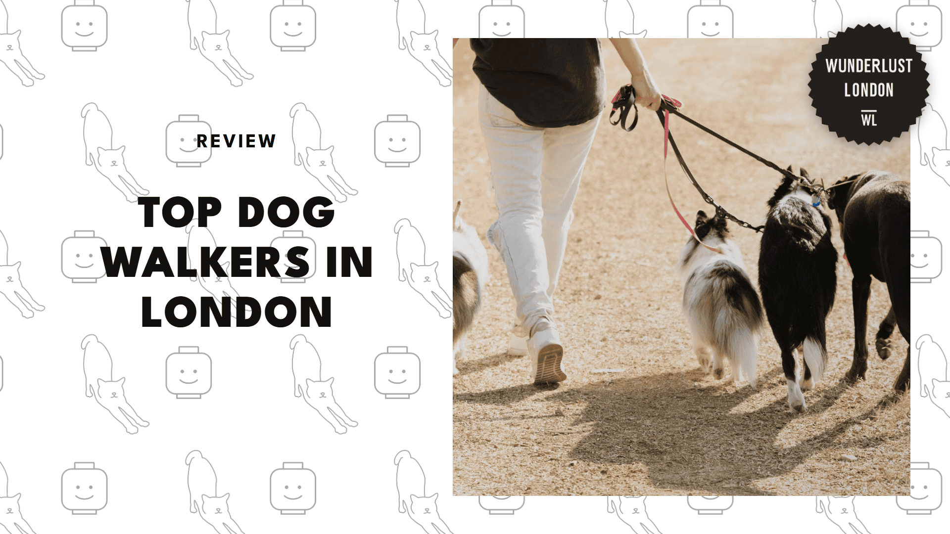 best-dog-walkers-london